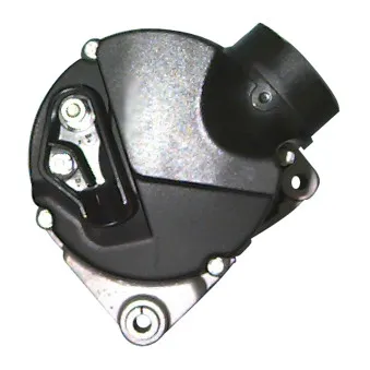 Alternateur REMY OEM 1738068
