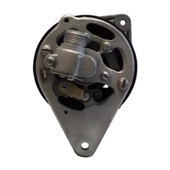 Alternateur REMY [DRA0072]