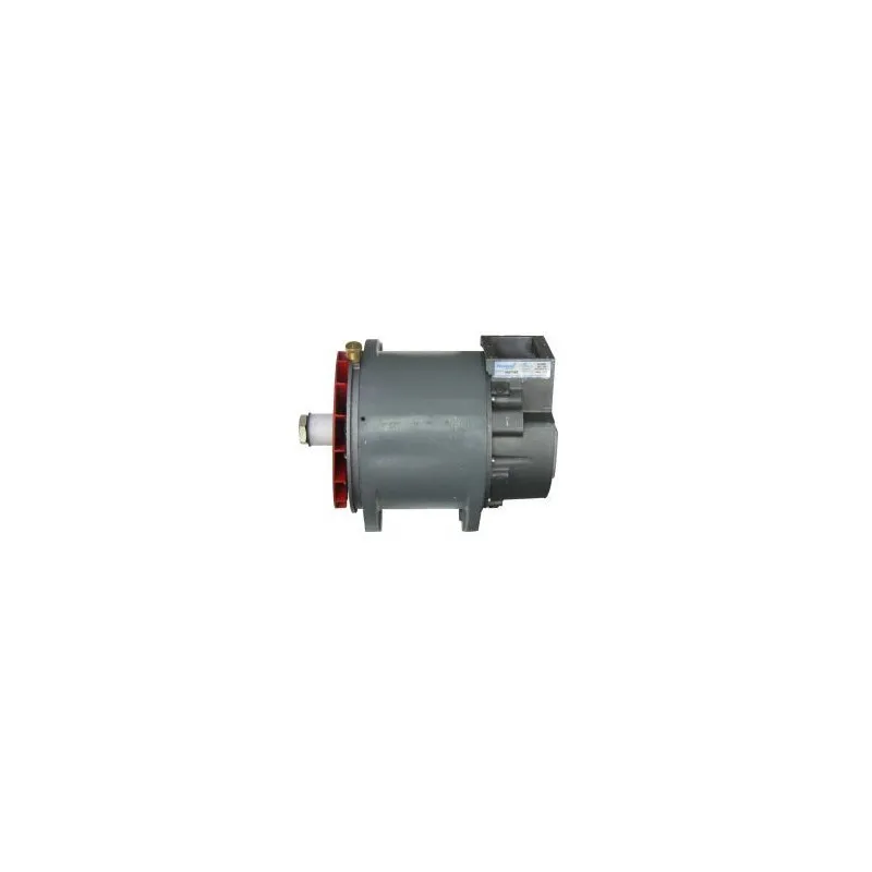 Alternateur REMY DRA0128 - Visuel 2