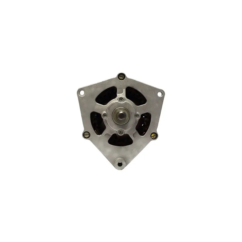 Alternateur REMY DRA0310 - Visuel 1