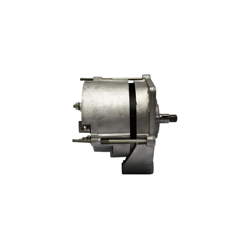 Alternateur REMY DRA0310 - Visuel 2