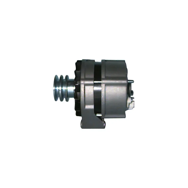 Alternateur REMY DRA0500 - Visuel 2