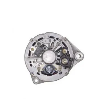 Alternateur REMY OEM V95VB10300AA
