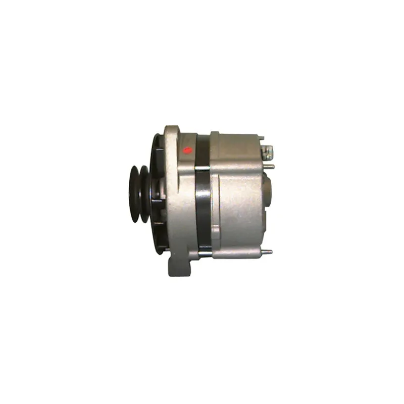 Alternateur REMY DRA0550 - Visuel 2