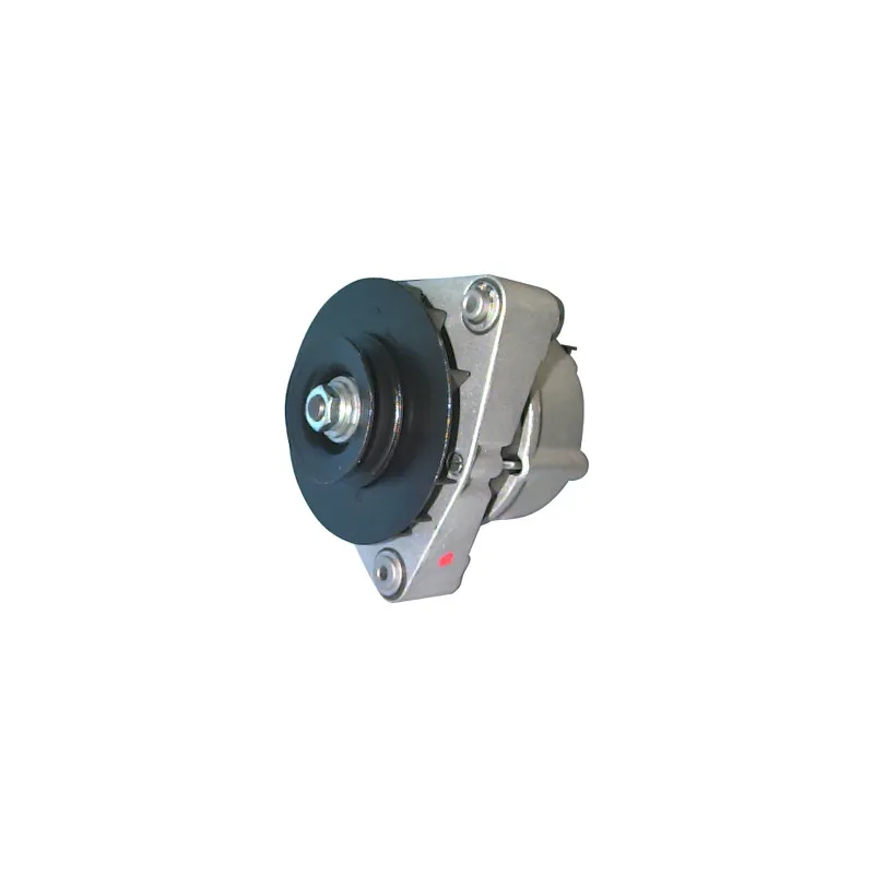 Alternateur REMY DRA0650 - Visuel 1