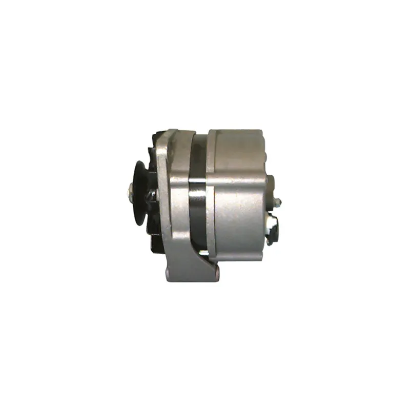 Alternateur REMY DRA0850 - Visuel 2