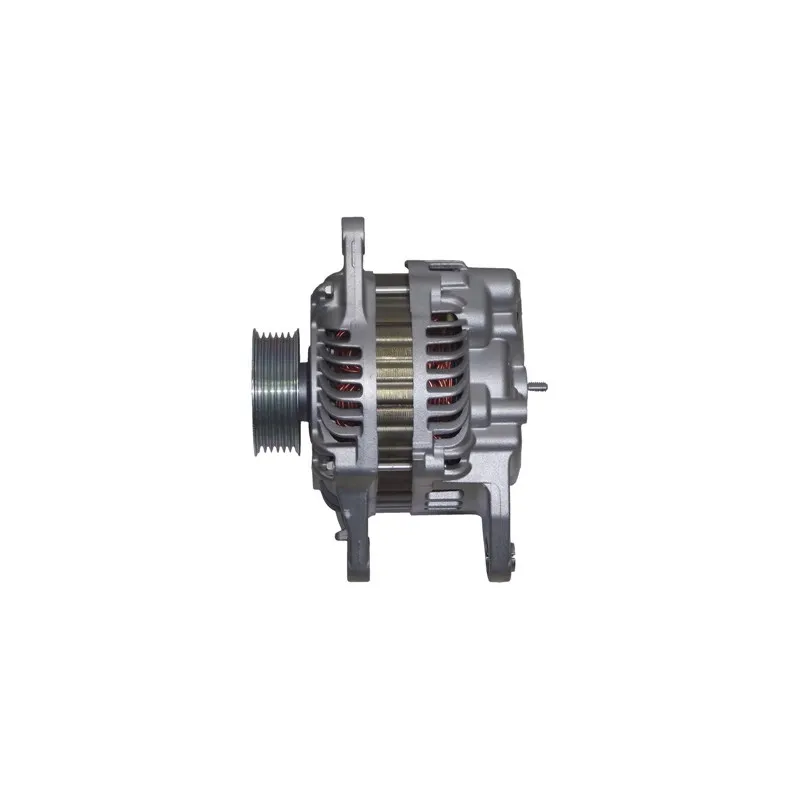 Alternateur REMY DRA0876 - Visuel 2