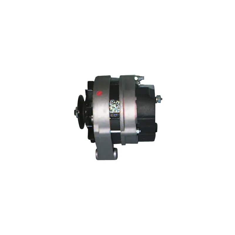 Alternateur REMY DRA1001 - Visuel 2