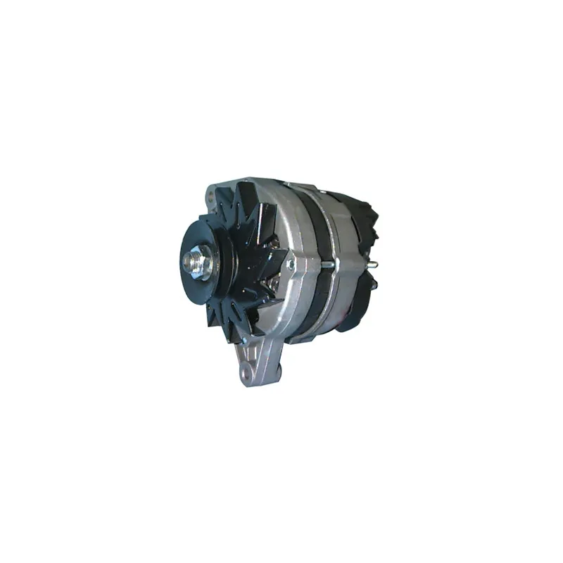 Alternateur REMY DRA1671 - Visuel 1