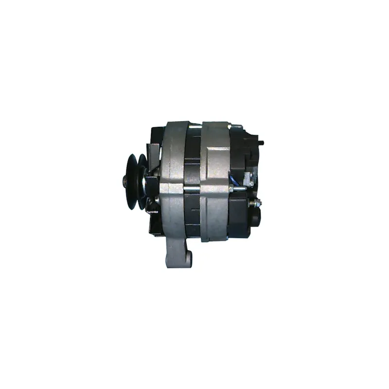 Alternateur REMY DRA1671 - Visuel 2