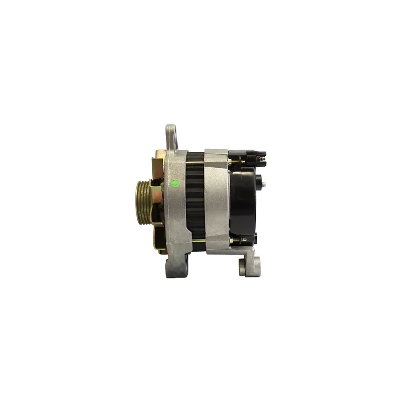 Alternateur REMY DRA3125 - Visuel 2