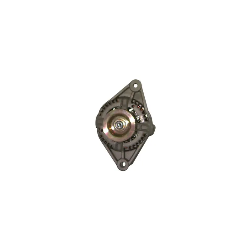 Alternateur REMY DRA3395 - Visuel 1