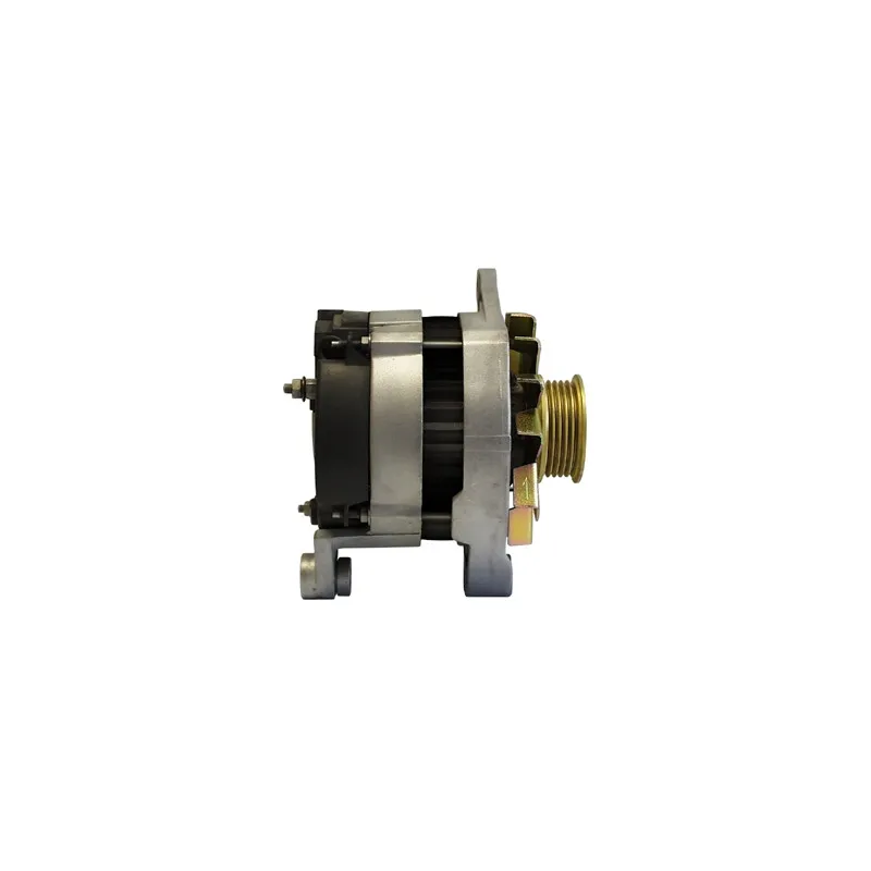 Alternateur REMY DRA3557 - Visuel 2