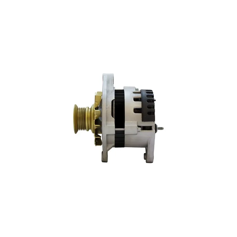 Alternateur REMY DRA3589 - Visuel 2