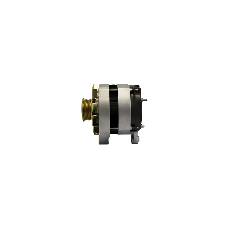 Alternateur REMY DRA3765 - Visuel 2