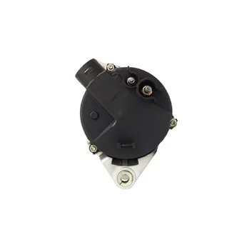 Alternateur REMY OEM 71724058