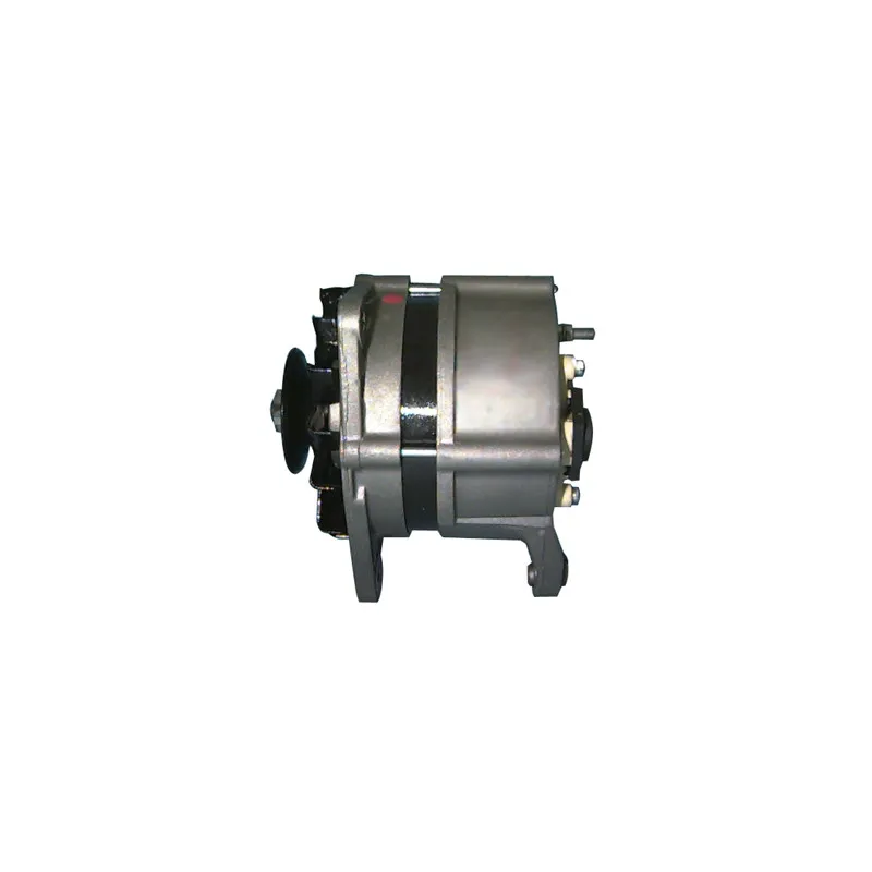 Alternateur REMY DRA3860 - Visuel 2