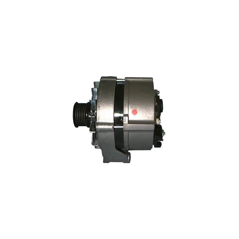 Alternateur REMY DRA4020 - Visuel 2