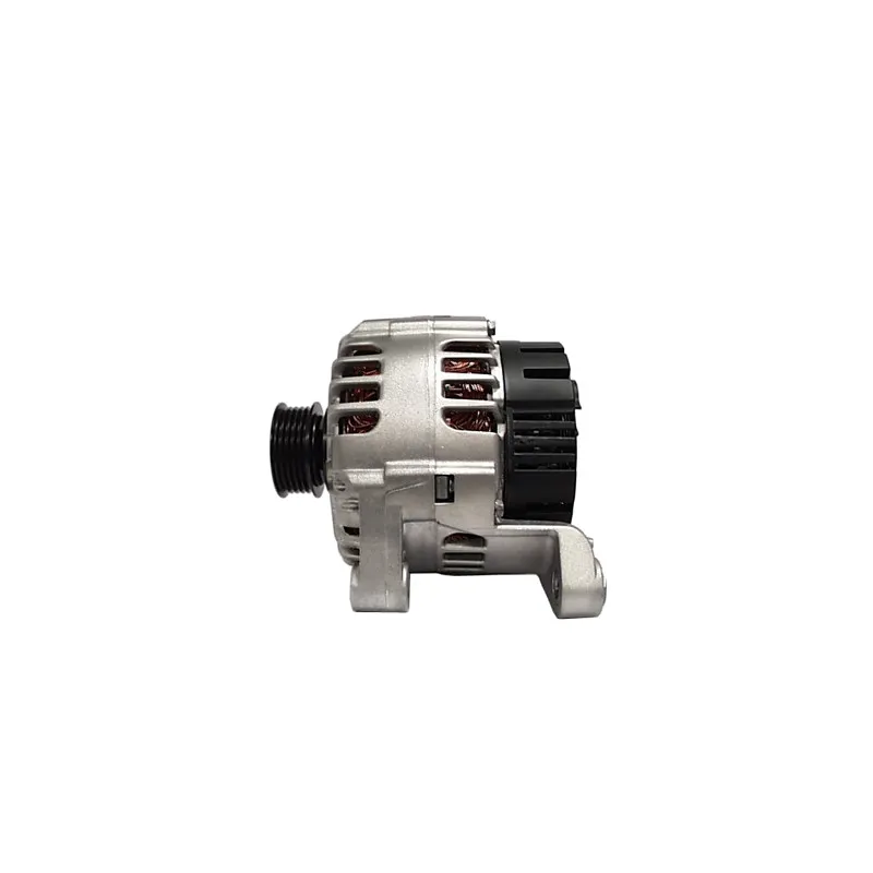 Alternateur REMY DRA4033 - Visuel 2