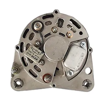 Alternateur REMY OEM 441040032266