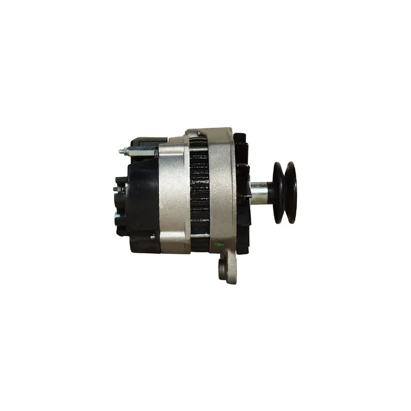 Alternateur REMY DRA4230 - Visuel 2