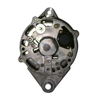 Alternateur REMY OEM 42498240