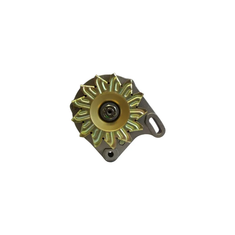 Alternateur REMY DRA5780 - Visuel 1