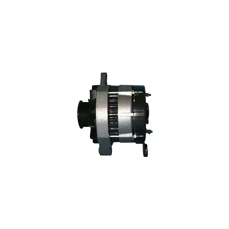 Alternateur REMY DRA6941 - Visuel 2