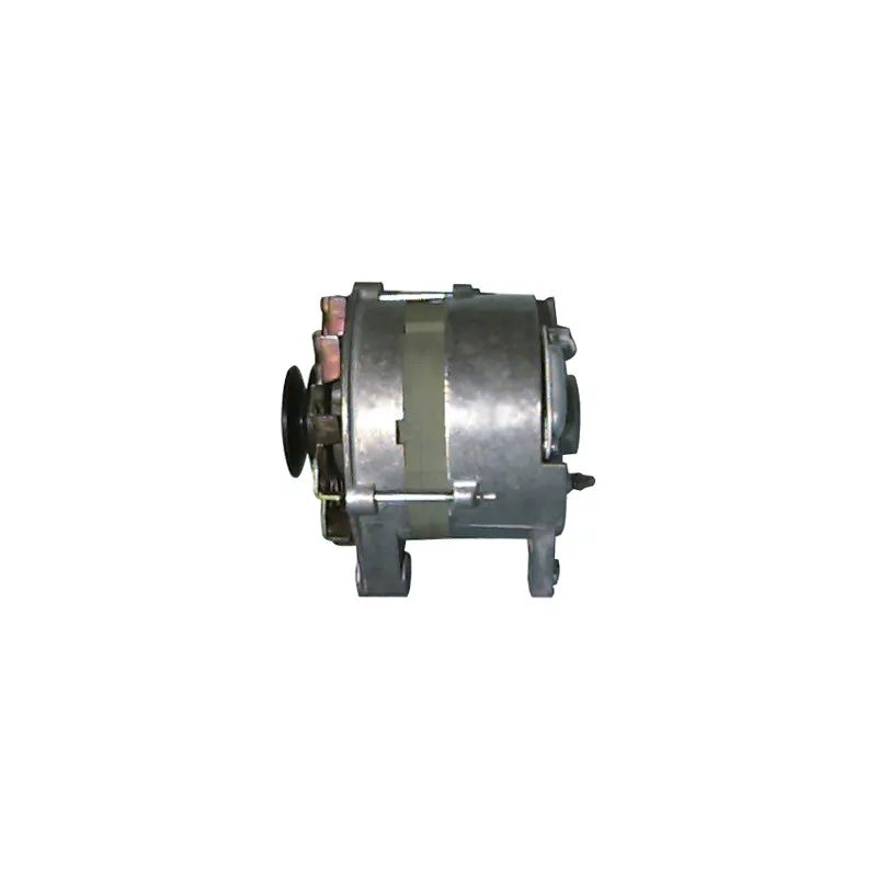 Alternateur REMY DRA6961 - Visuel 2