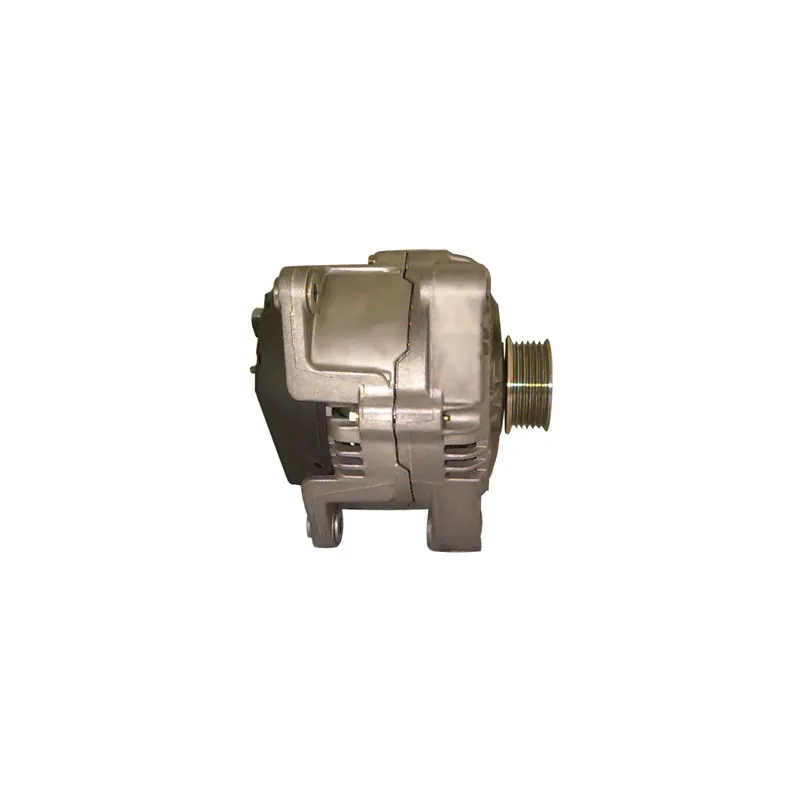 Alternateur REMY DRA9250 - Visuel 2