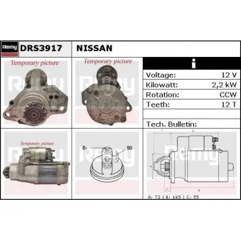 Démarreur REMY OEM 233008H80A