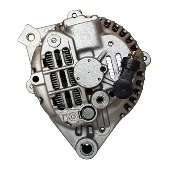 Alternateur REMY [DRZ0190]