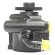 REMY DSP060 - Pompe hydraulique, direction