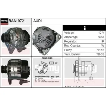 Alternateur REMY OEM 028903025E