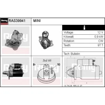 Démarreur REMY OEM NAD101481
