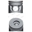 Piston NÜRAL [87-107007-00]