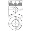 Piston NÜRAL [87-245500-10]