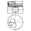 NÜRAL 87-306700-00 - Piston