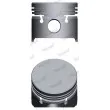 Piston NÜRAL [87-333400-00]