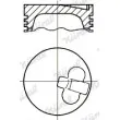 Piston NÜRAL [87-373800-00]