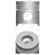 Piston NÜRAL [87-781900-30]