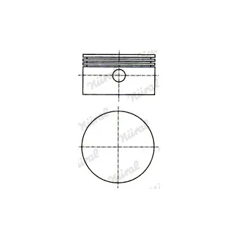 Piston, compresseur d'air NÜRAL 87-990700-00