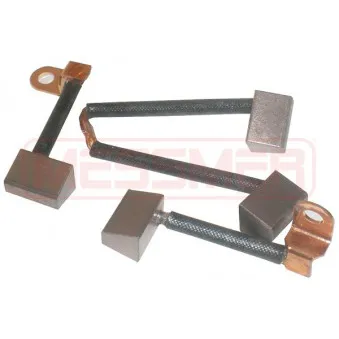 ERA 233095 - Balais, démarreur