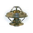 ERA 350195 - Thermostat d'eau