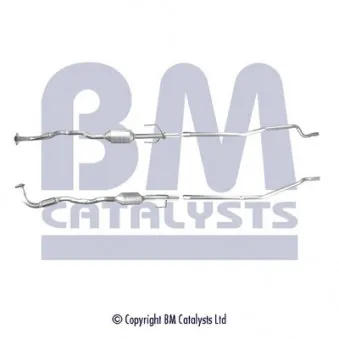 Catalyseur BM CATALYSTS BM80263H