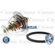 ACKOJA A37-99-0004 - Thermostat d'eau