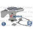 ACKOJA A52-0713 - Pompe à eau