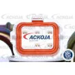ACKOJA A52-09-0014 - Unité d'injection de carburant