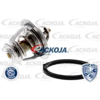 ACKOJA A53-99-0011 - Thermostat d'eau
