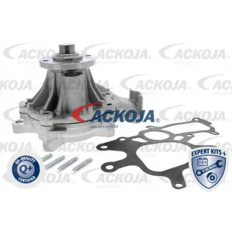 ACKOJA A70-50014 - Pompe à eau
